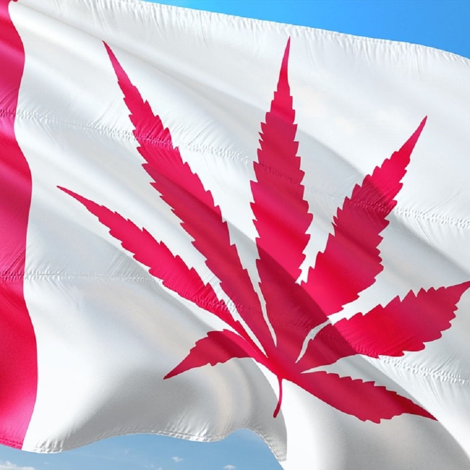canada cannabis flag