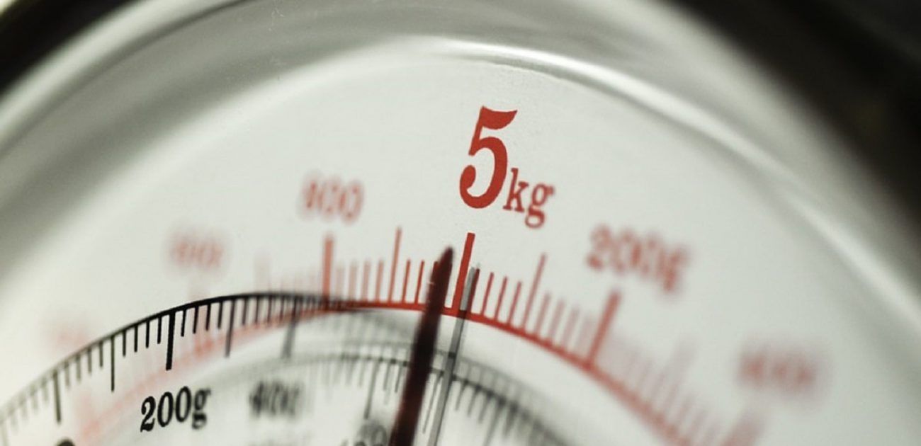weight scale