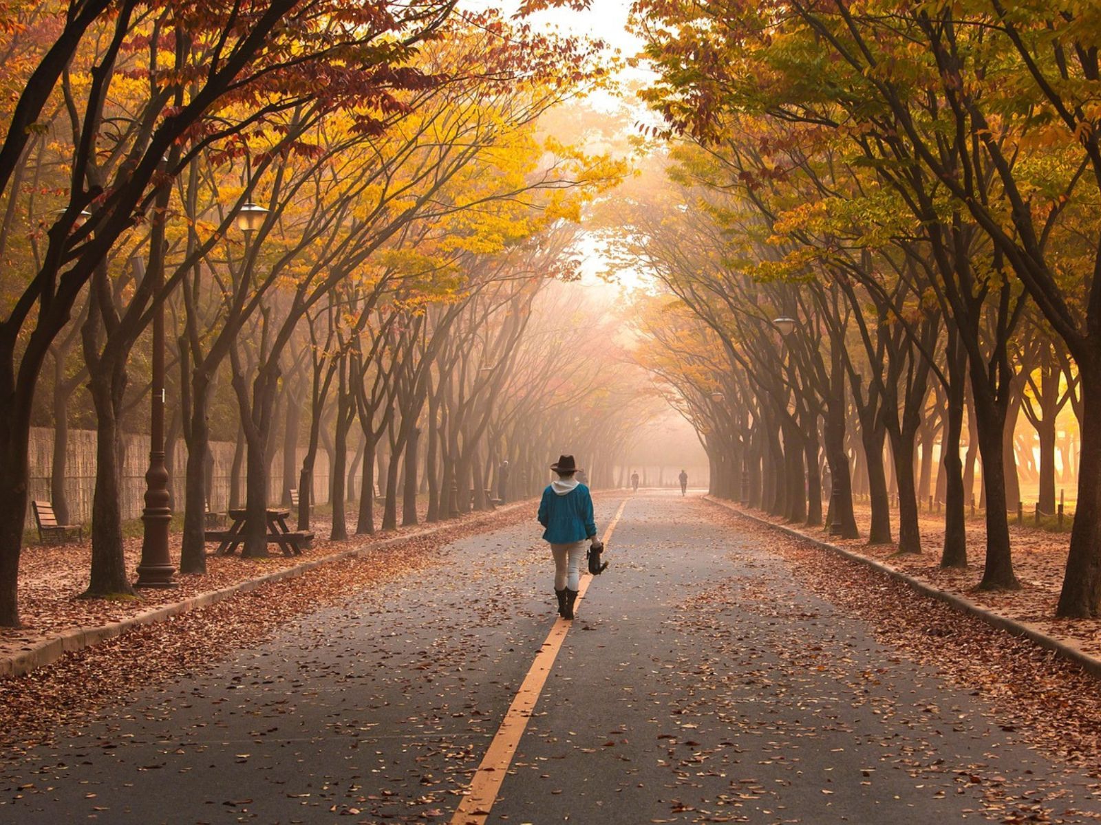 walking