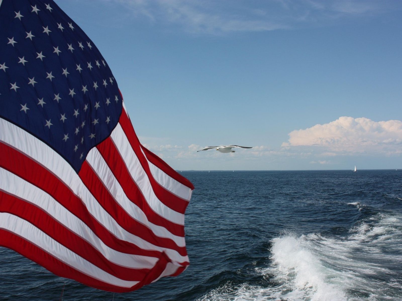 united states flag