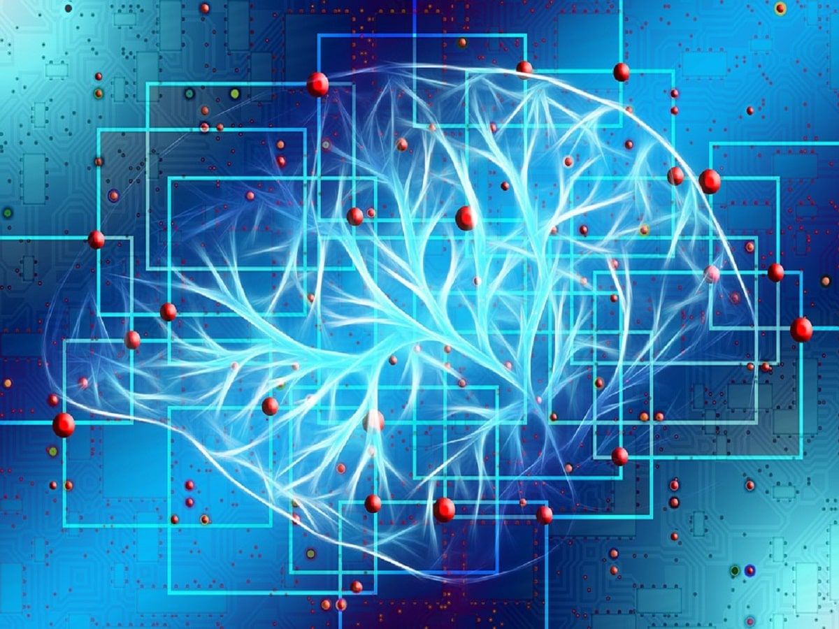 brain
