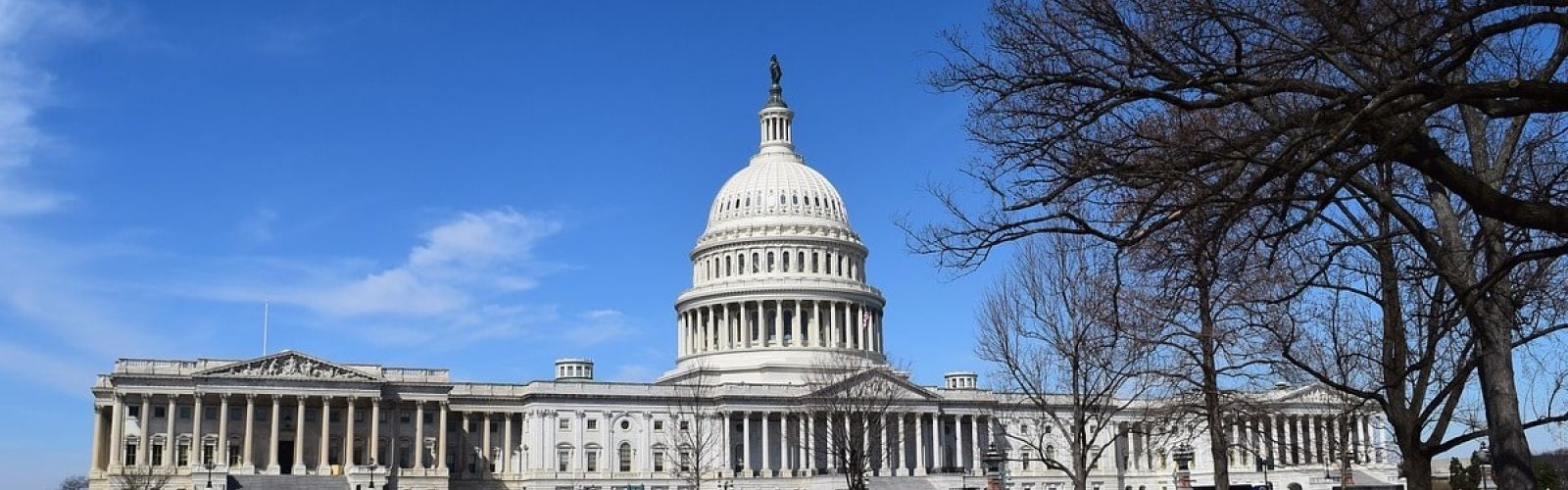 U.S. Congress