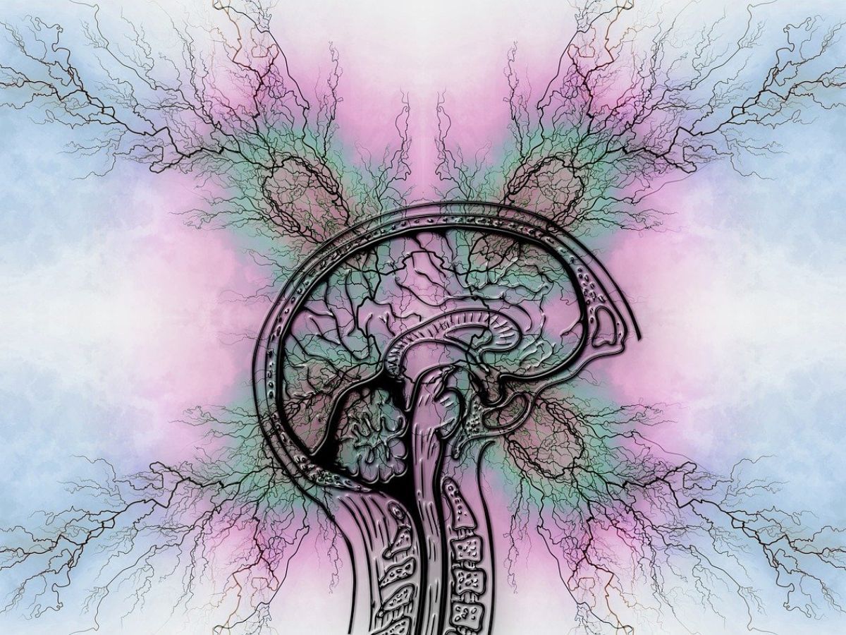 brain thinking