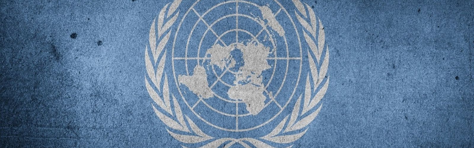 united nations un flag logo