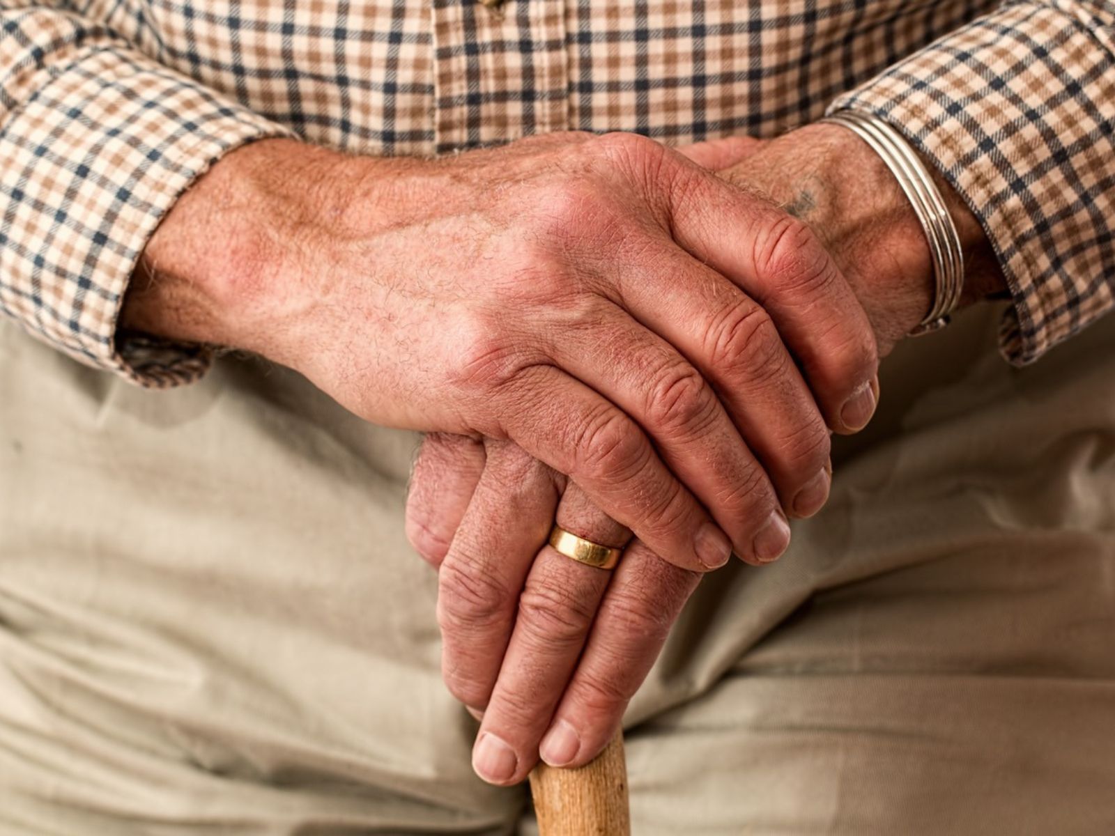 senior citizen elderly