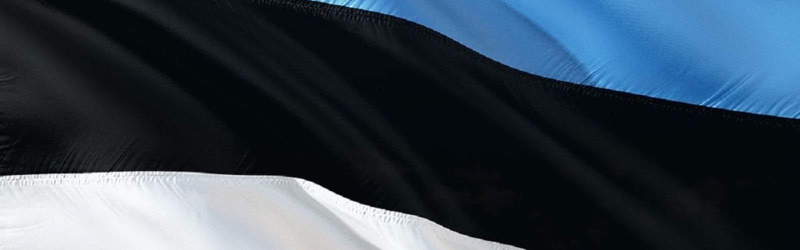 estonia flag