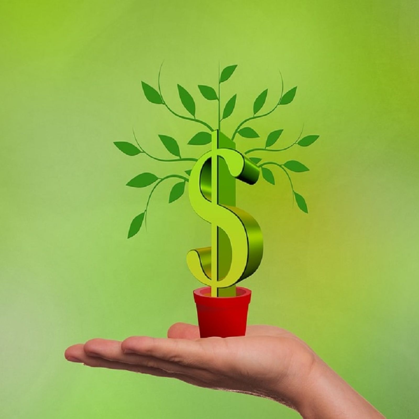 stock market stocks investor finance