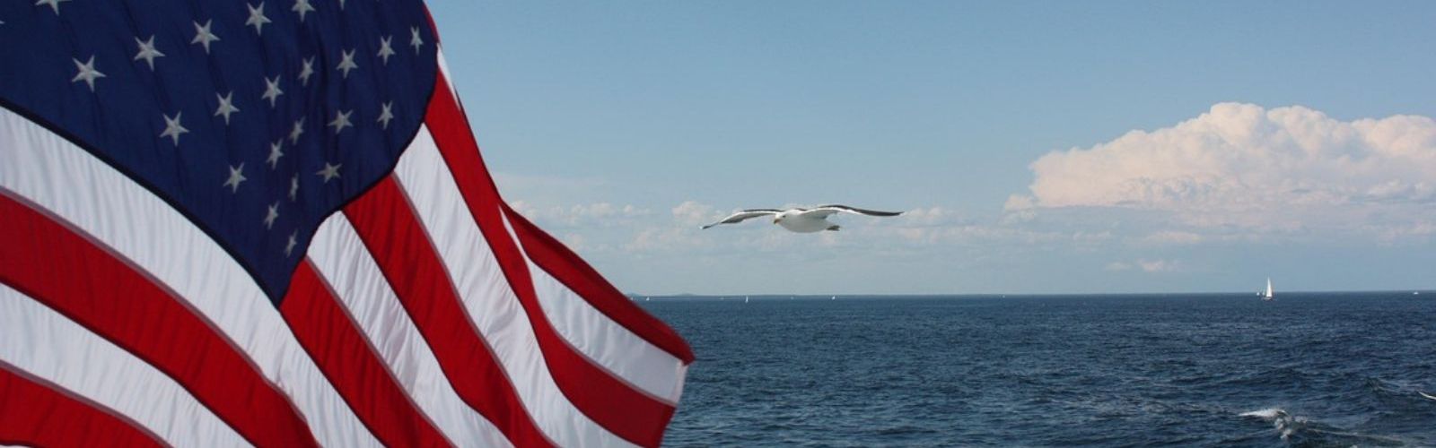 united states flag