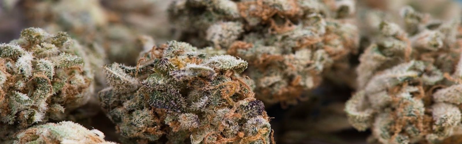 marijuana