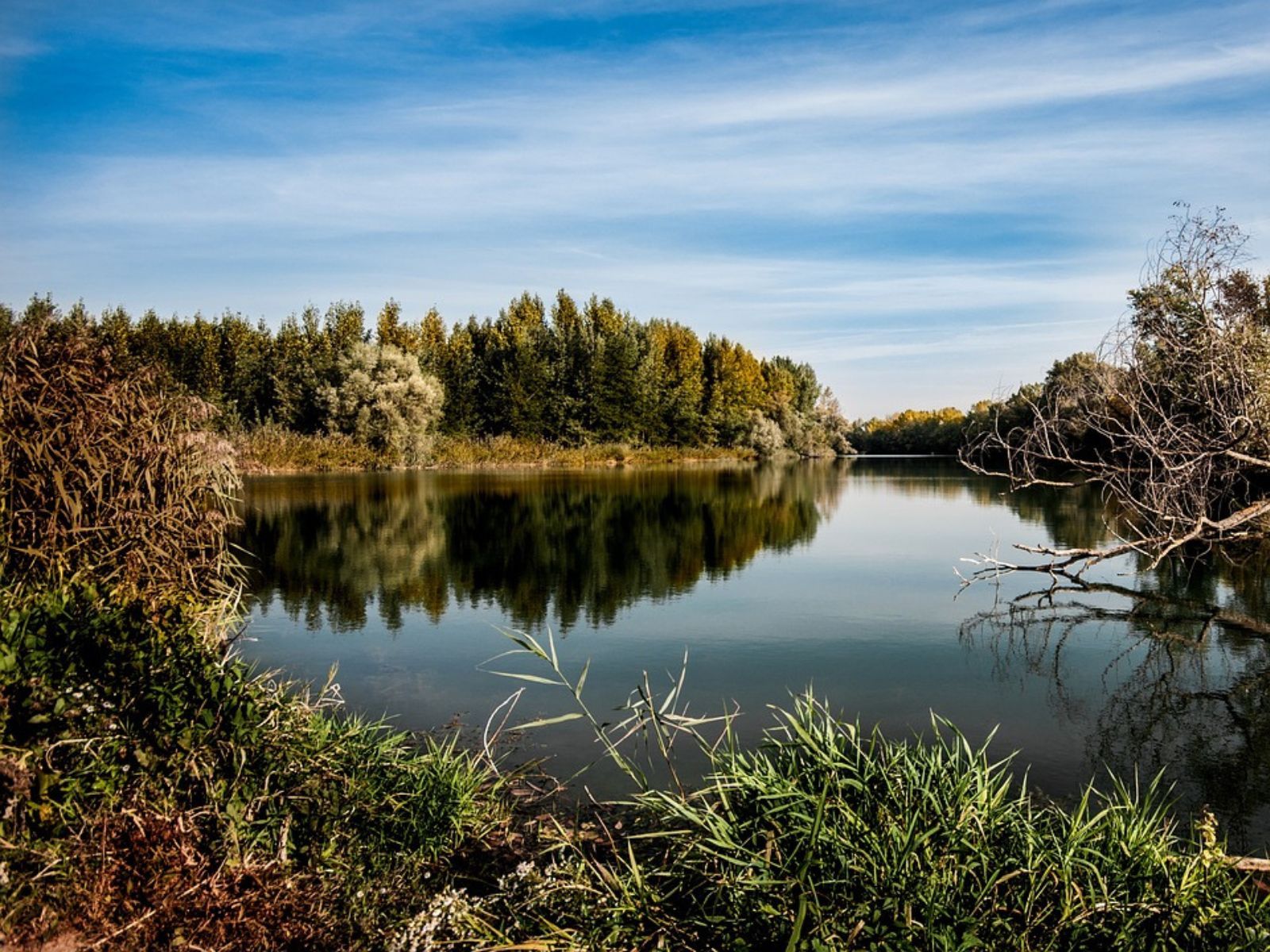 river bank