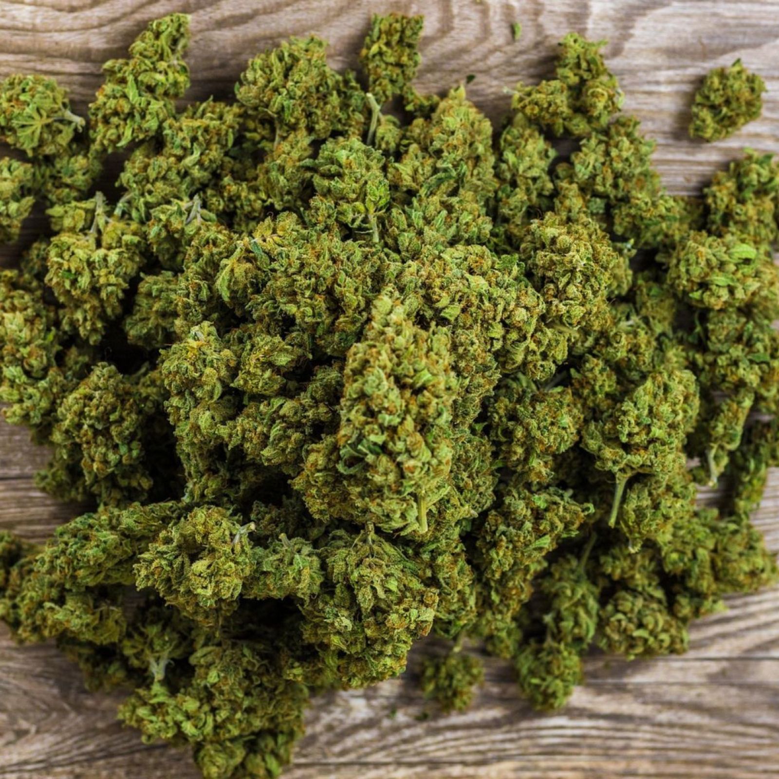 cannabis flower buds