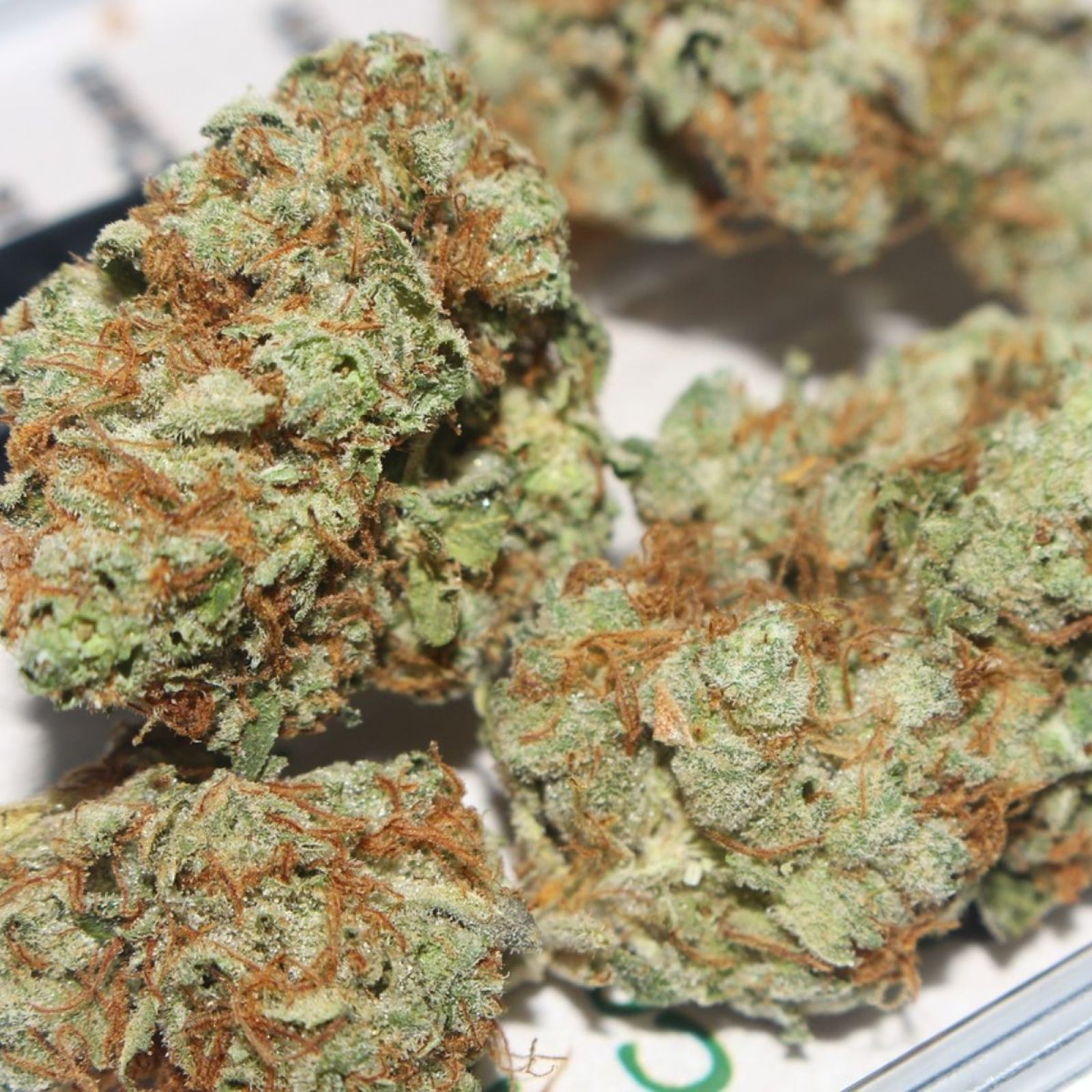 cannabis flower bud buds