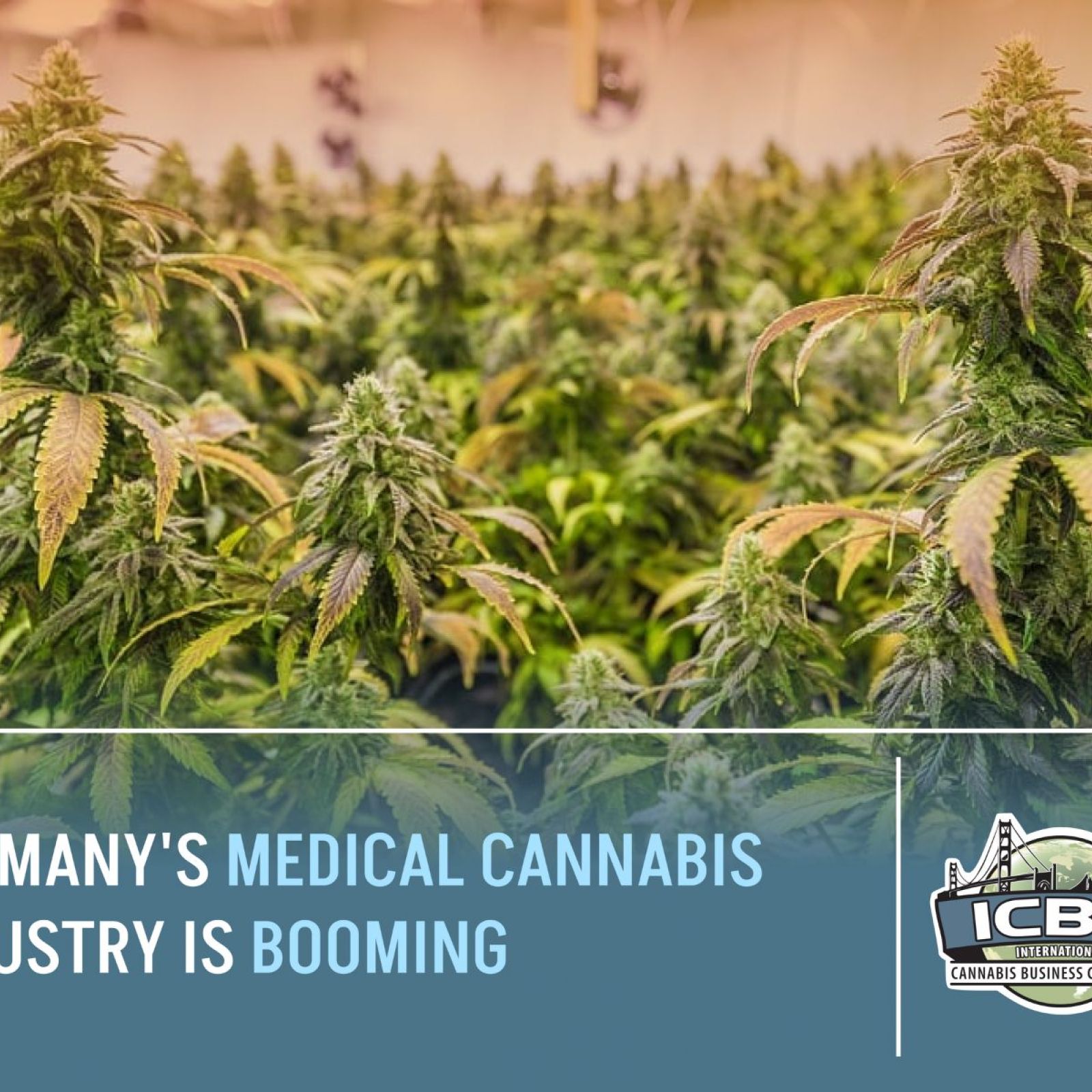 Germany Medical Cannabis