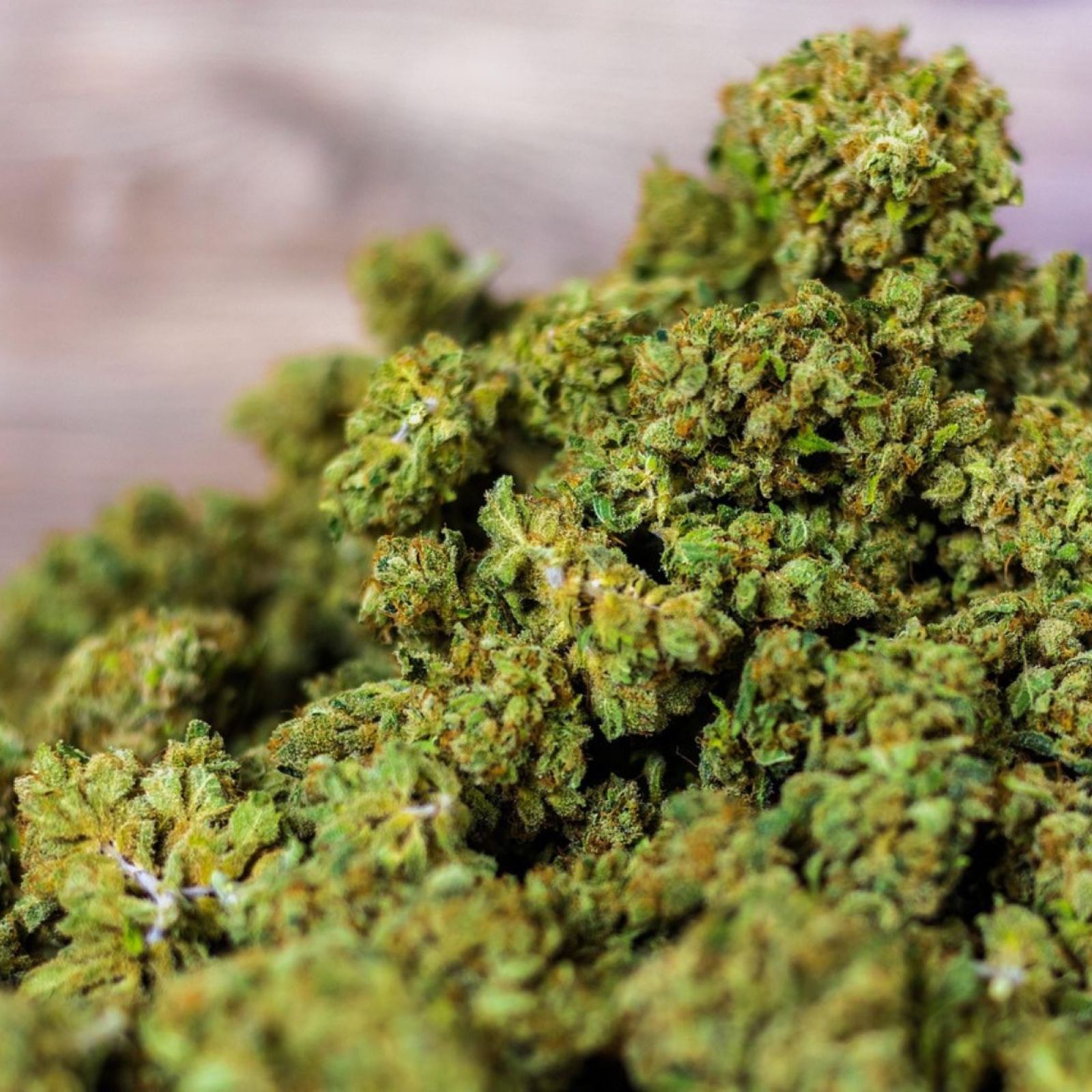 cannabis flower buds