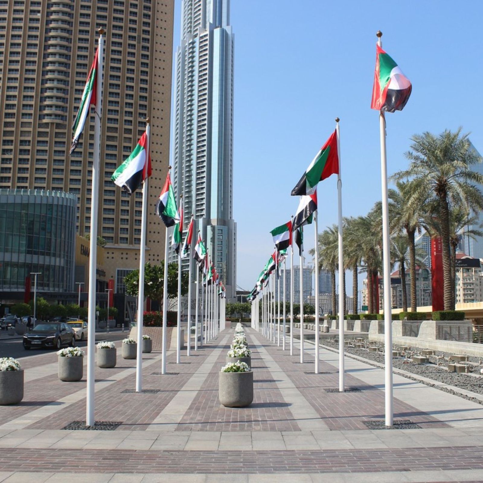 uae united arab emirates flags flag