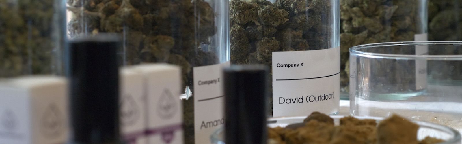 Company X cannabis