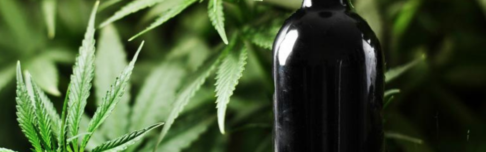 marijuana and wine