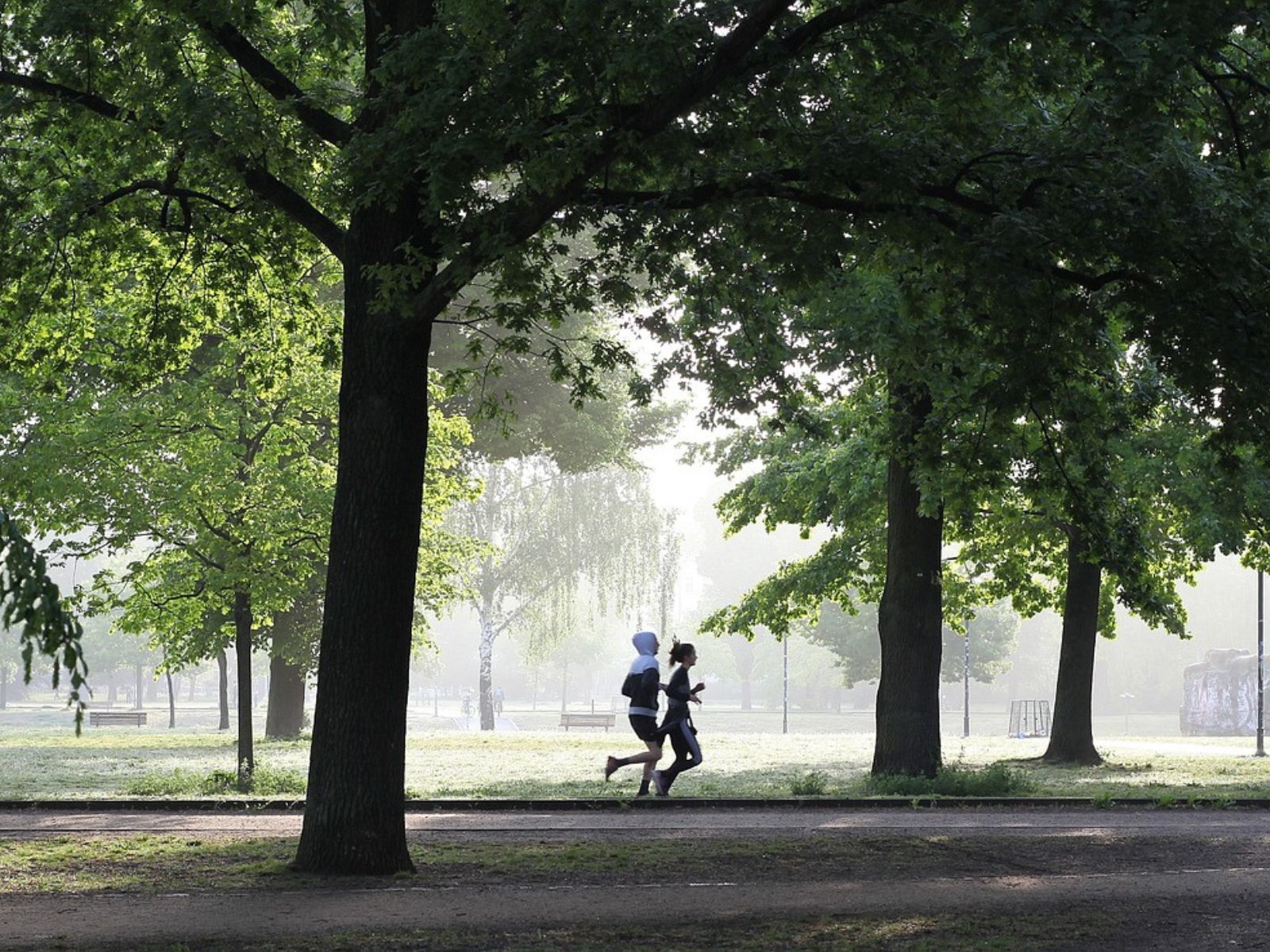 running jogging fitness exercise cardio