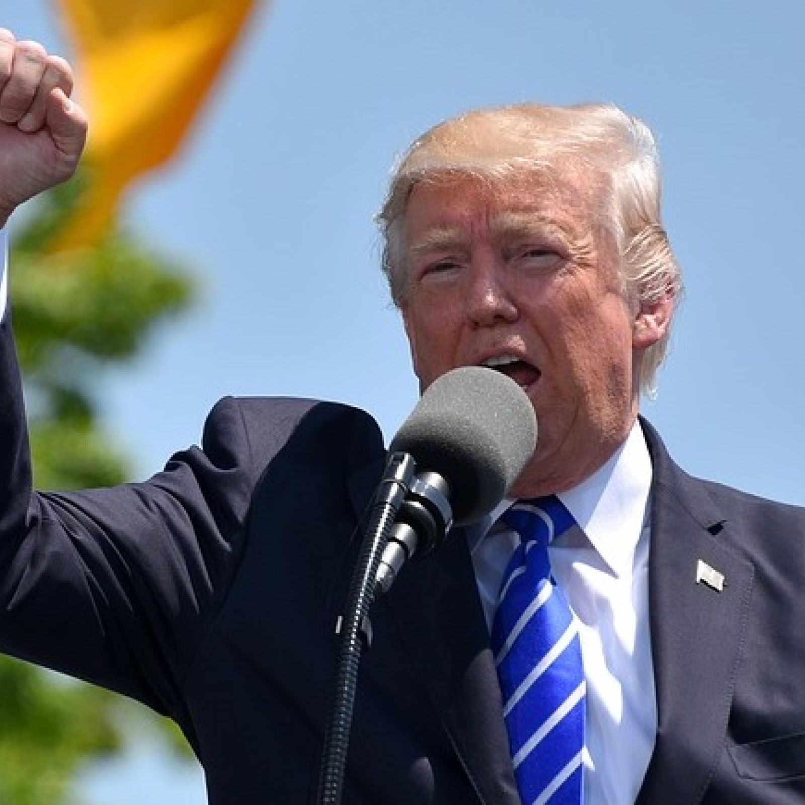 Donald Trump Fist Up