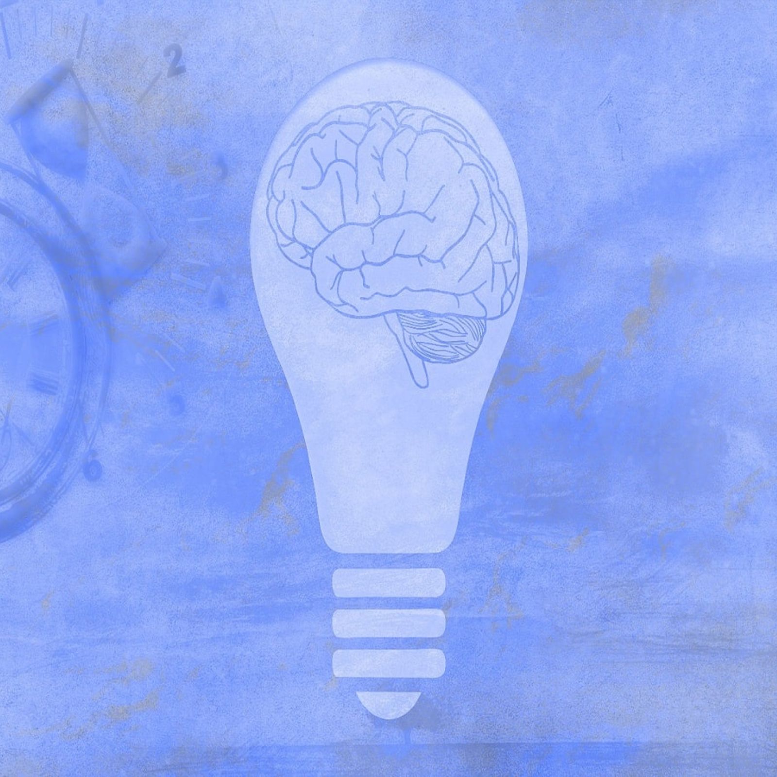 autism brain mental health