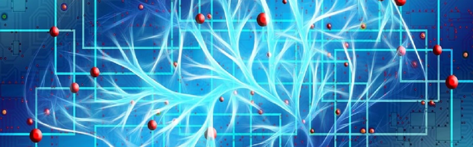 brain