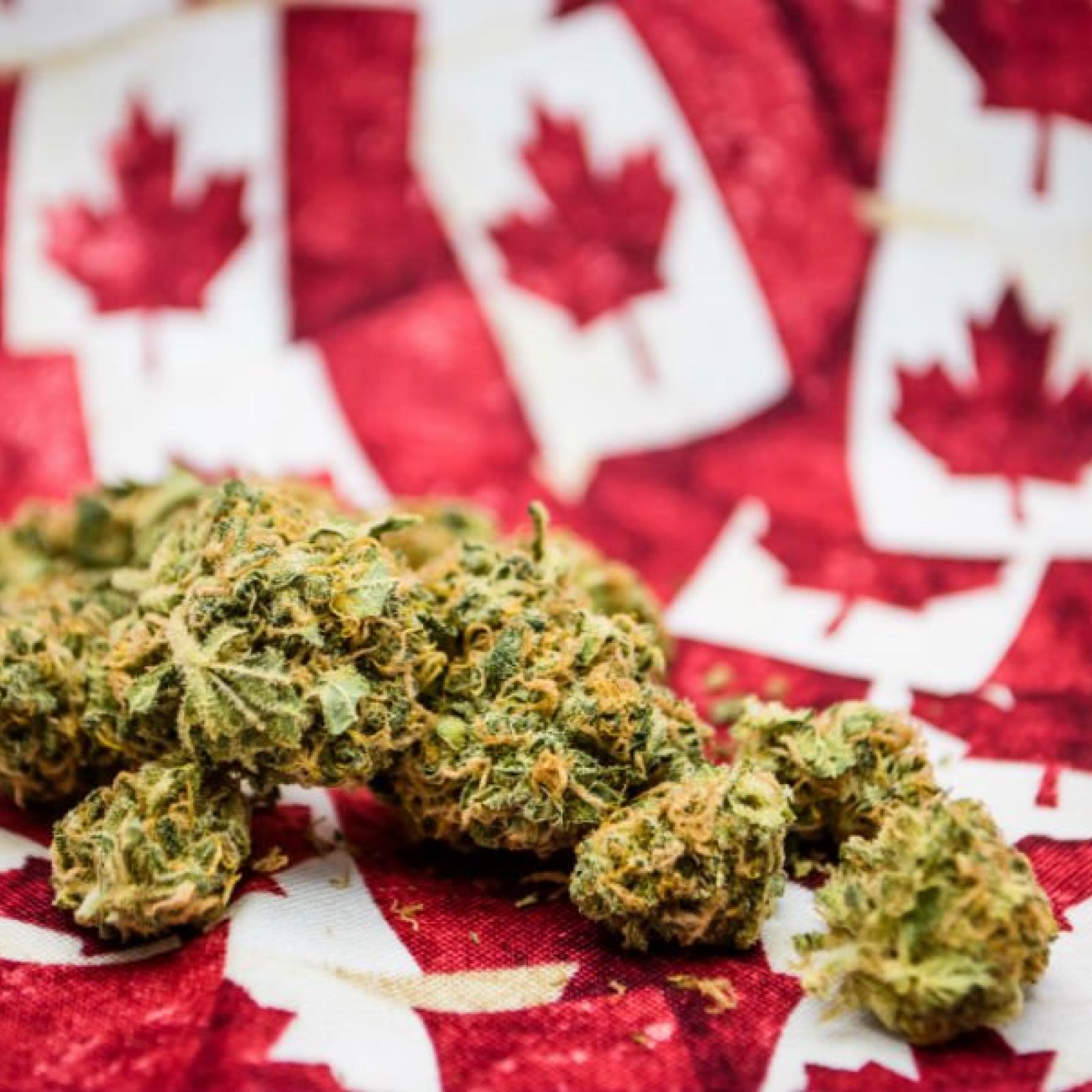 Canada Flag Cannabis