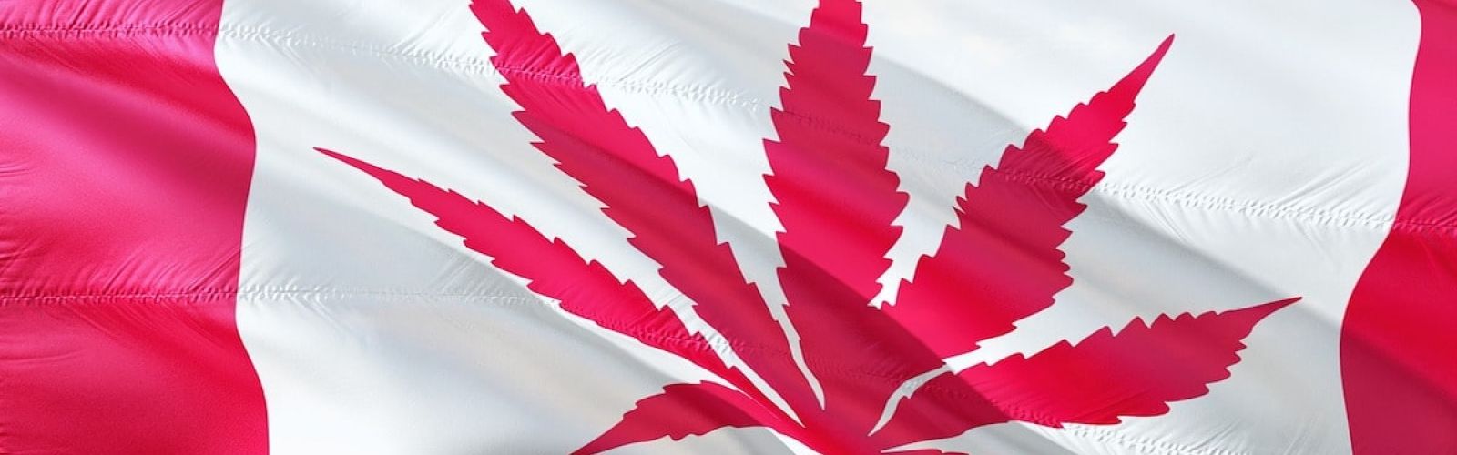 Canadian flag cannabis leaf