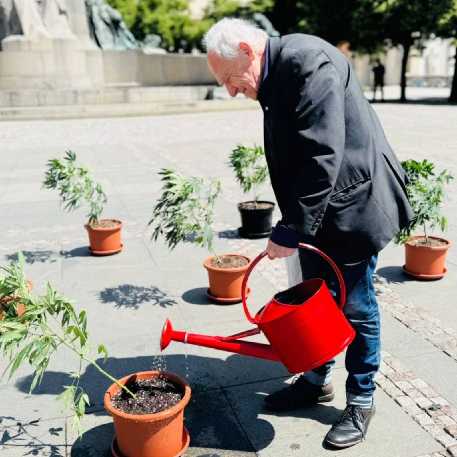 elderly man watering cannabis plants outside of the czech republic ministry of health in prague