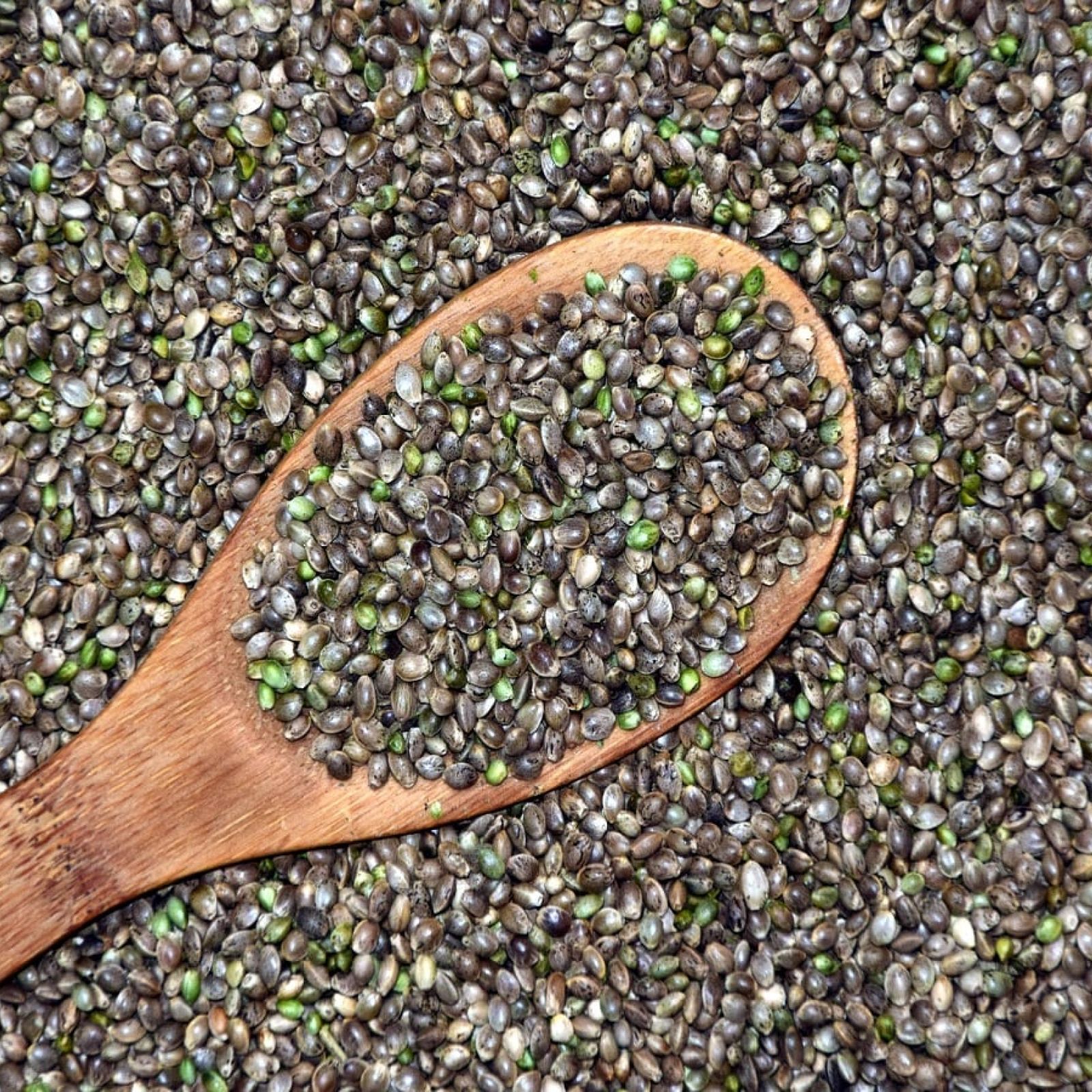 hemp seed