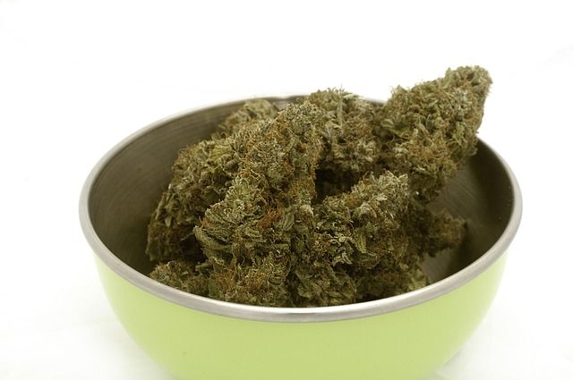 Marijuana buds
