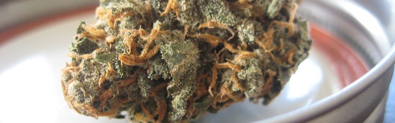 cannabis flower