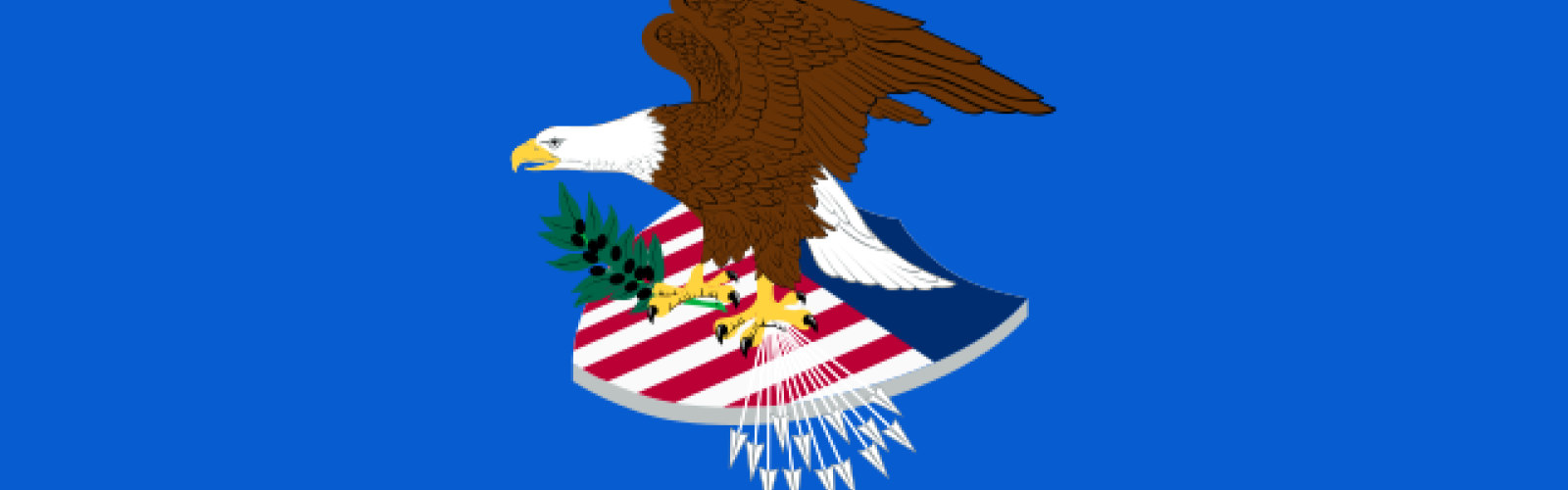 DOJ Flag