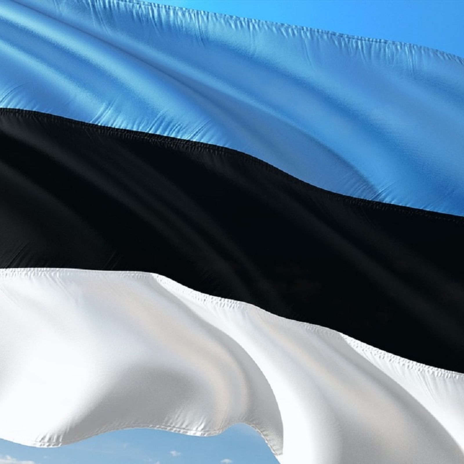estonia flag