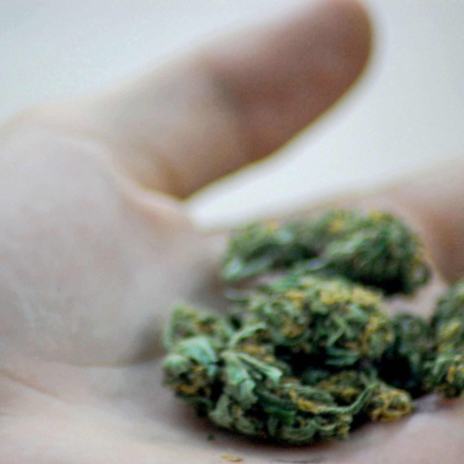 marijuana in hand