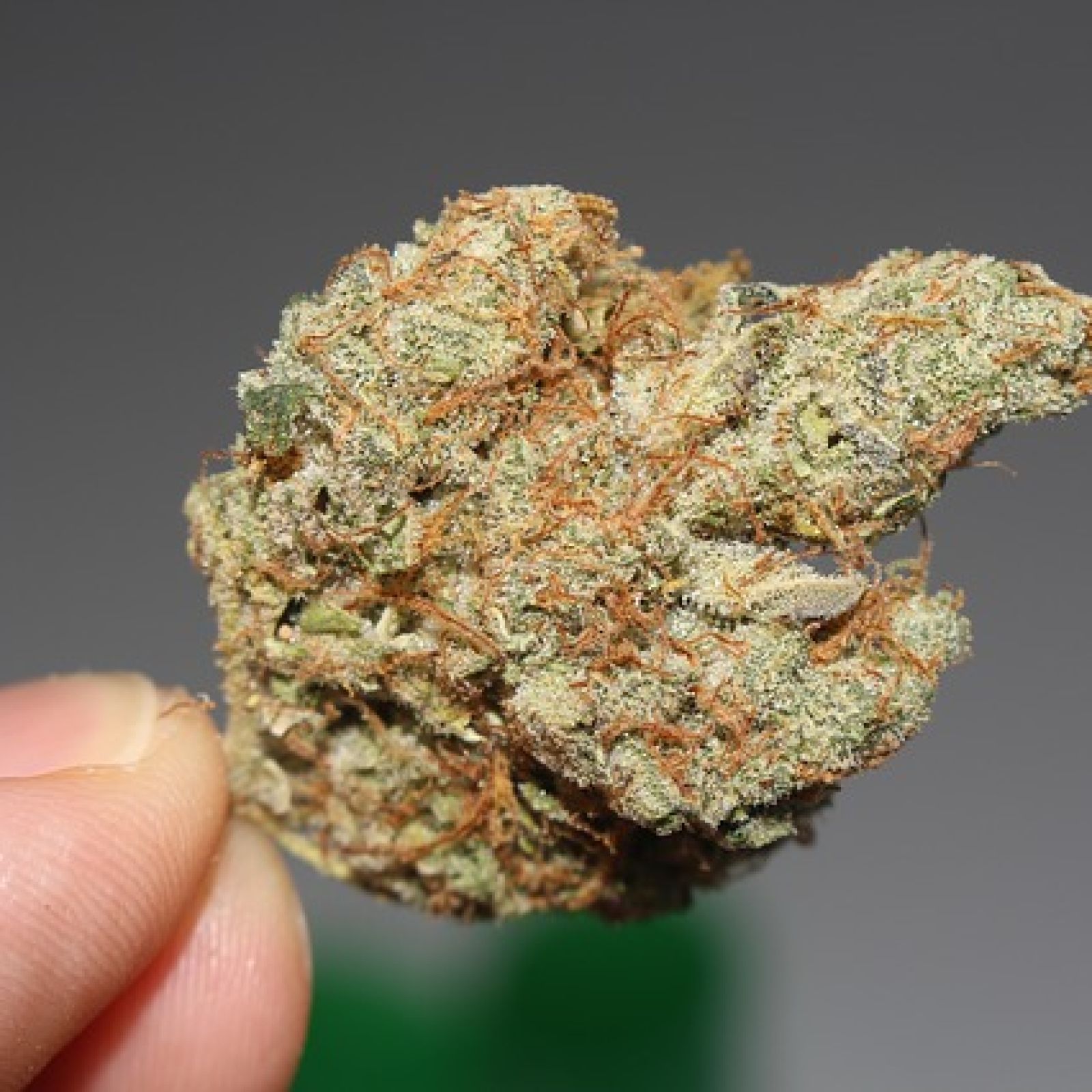 marijuana bud