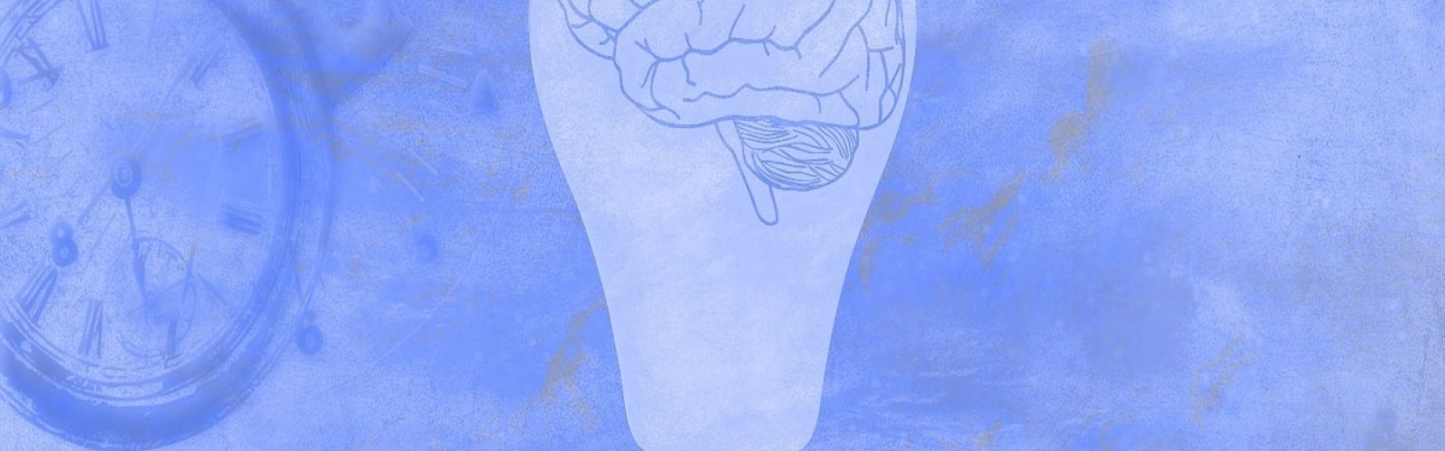 autism brain mental health