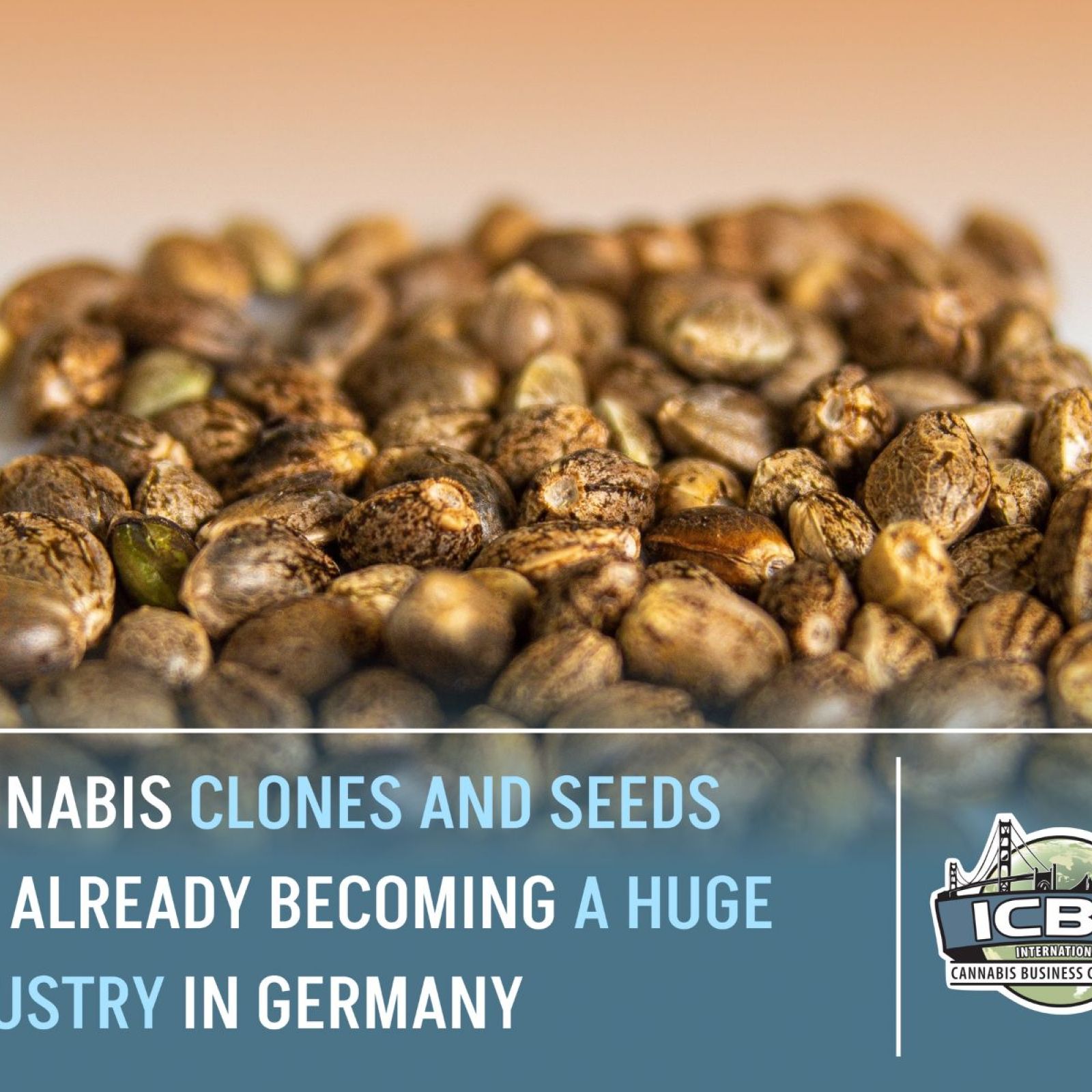 cannabis clones and seeds germany