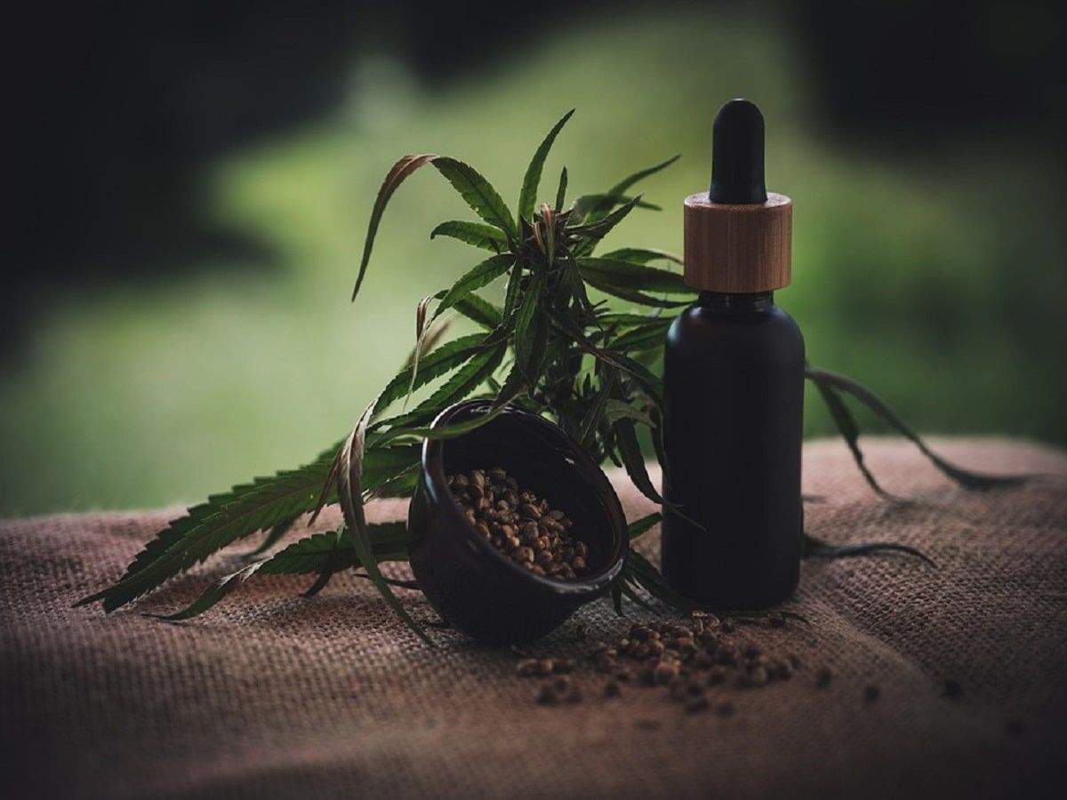 cbd oil
