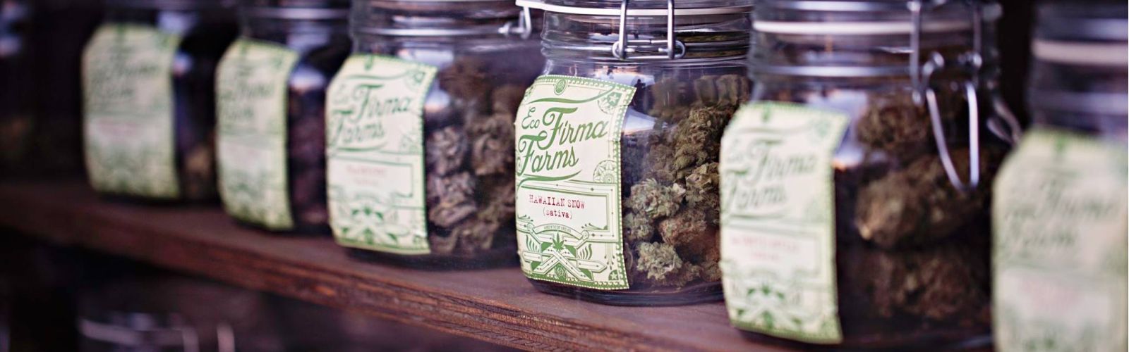 Eco Firma Farms