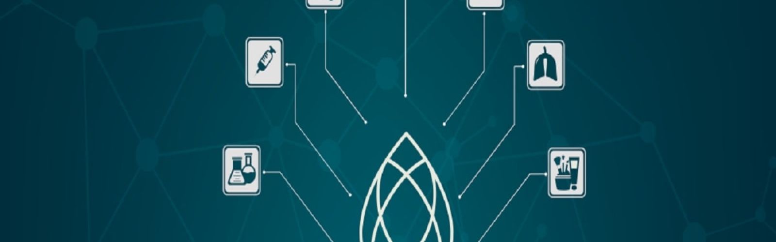 cbd hemp business fair