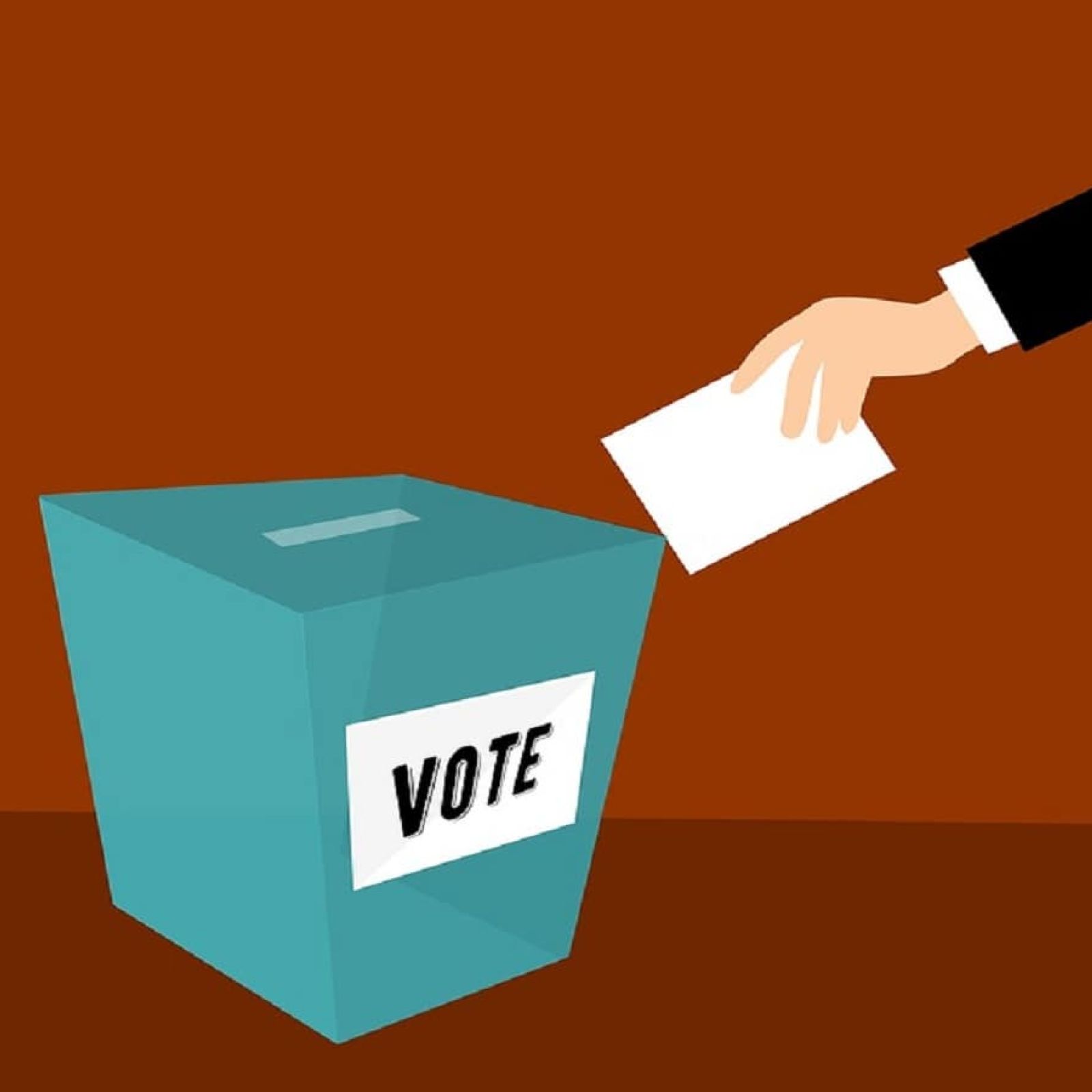 vote voting election