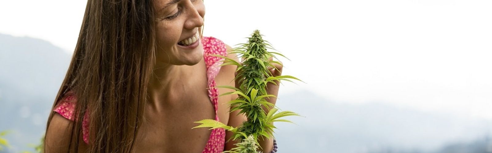 woman smelling smell cannabis plant garden outdoor sungrown terpene terpenes