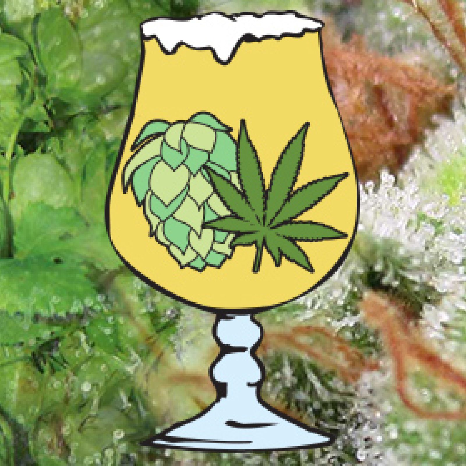 Big Alcohol and canabis