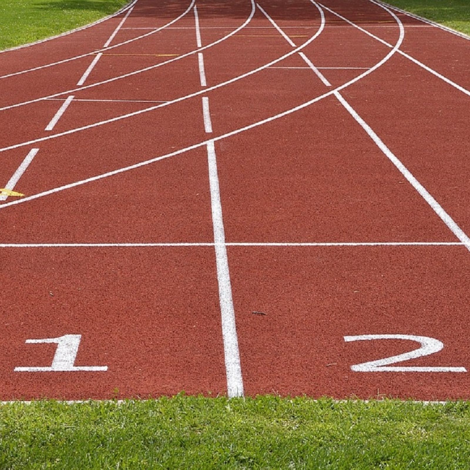 track and field sports athlete exercise