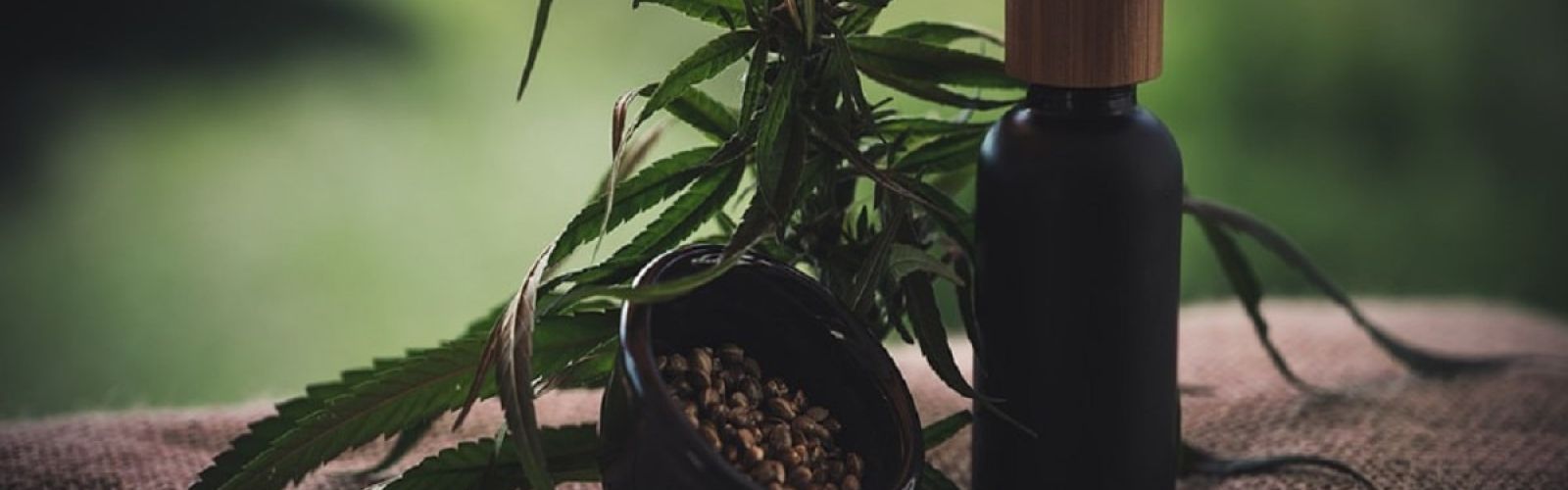 cbd oil