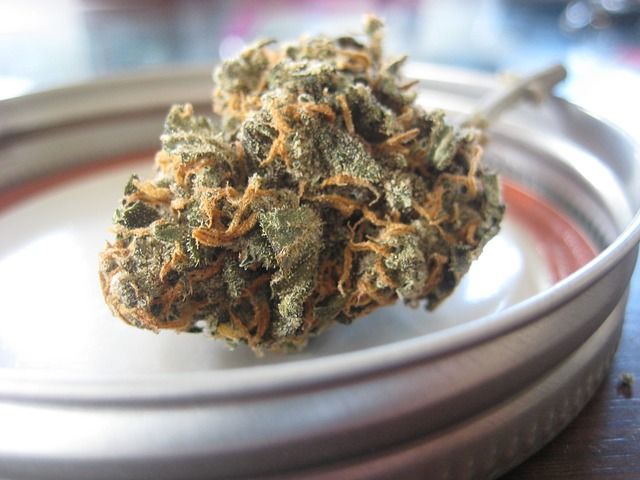 cannabis flower