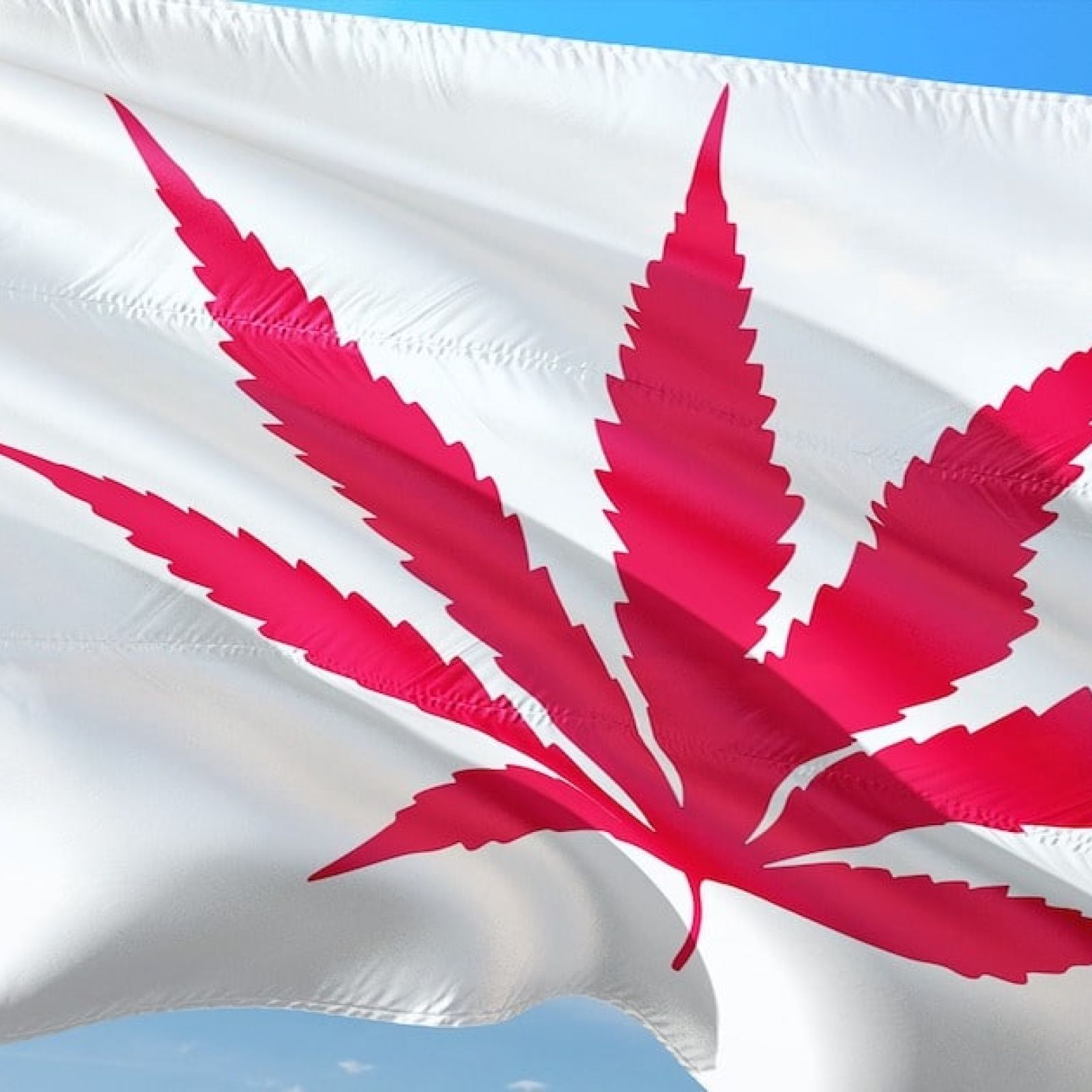 Canadian flag cannabis leaf