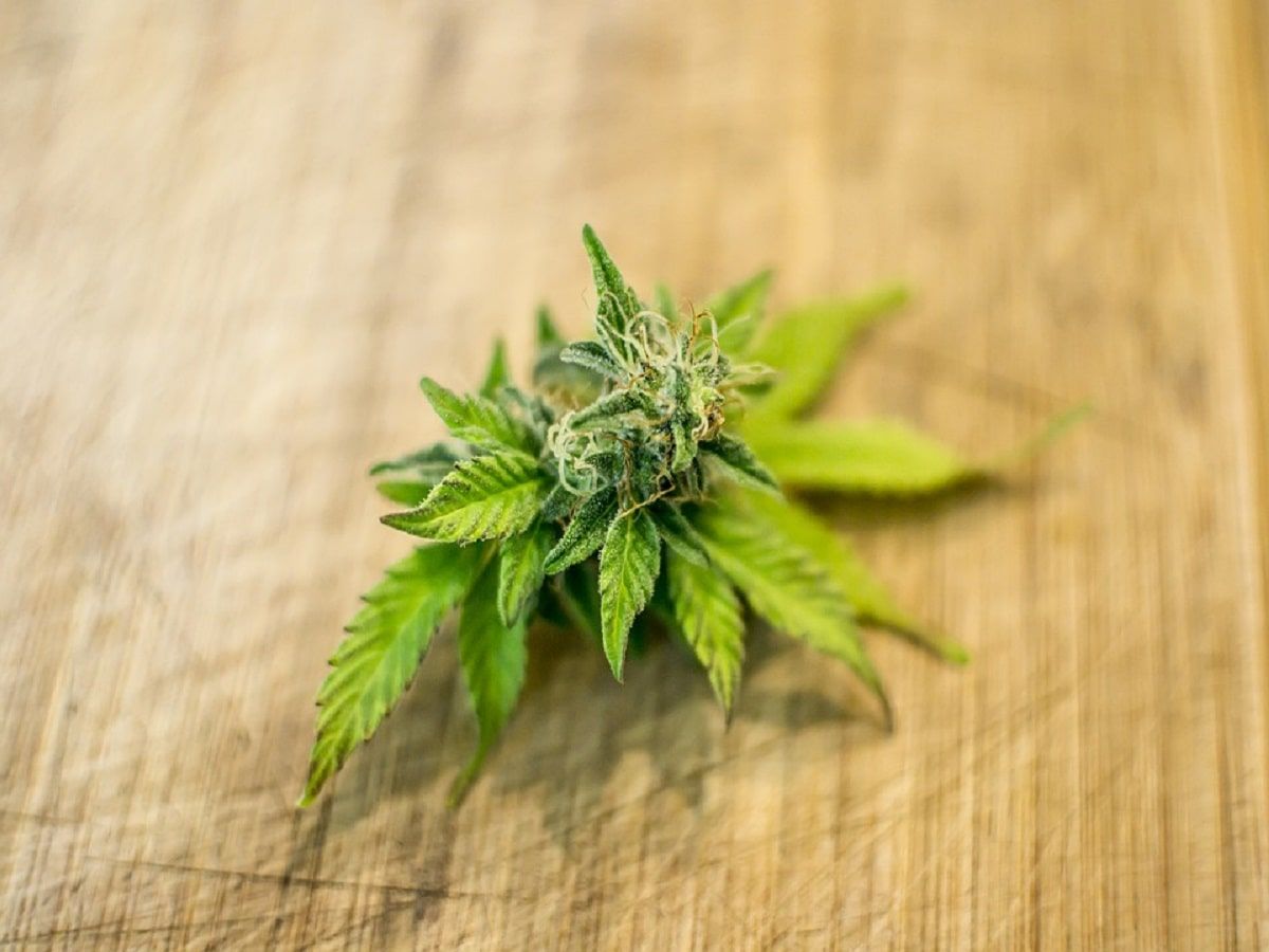 Cannabis Flower