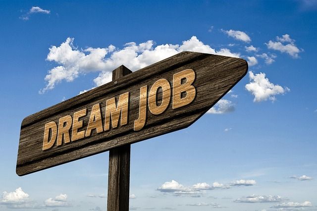 Job search