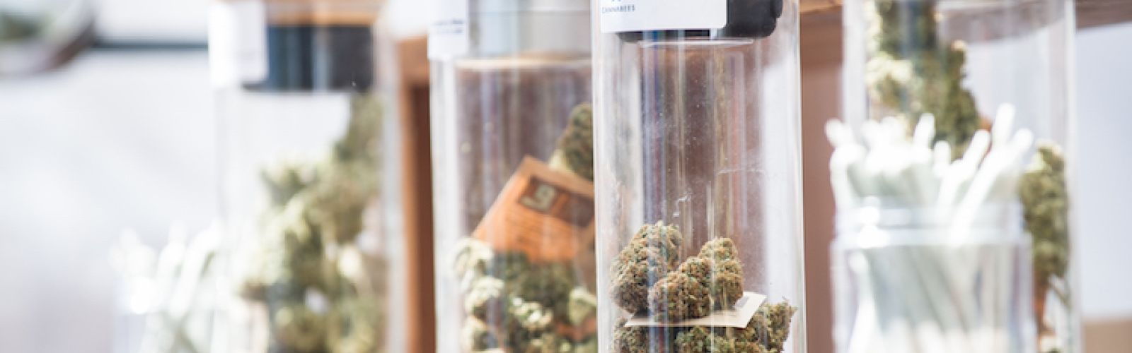 CannaTrade